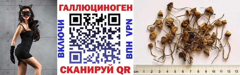 Псилоцибиновые грибы ЛСД Купить где Нерчинск